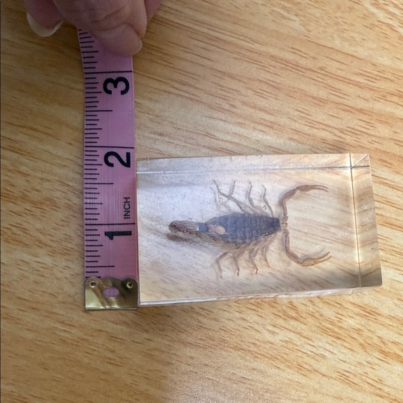 Scorpion Paperweight 🦂 - Picture 11 of 15